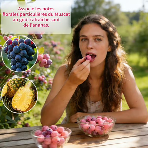 🔥Plus de 50 000 vendus !💟Graines de myrtilles roses de qualité supérieure -😋Un goût unique et délicieux