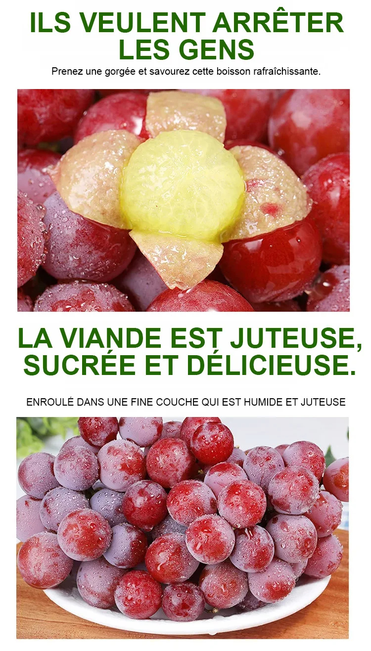 🍇 Raisin de la Reine Nina – La Perle des Vignes à Cultiver Chez Vous 