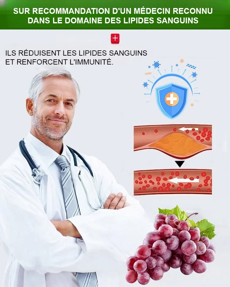 🍇 Raisin de la Reine Nina – La Perle des Vignes à Cultiver Chez Vous 