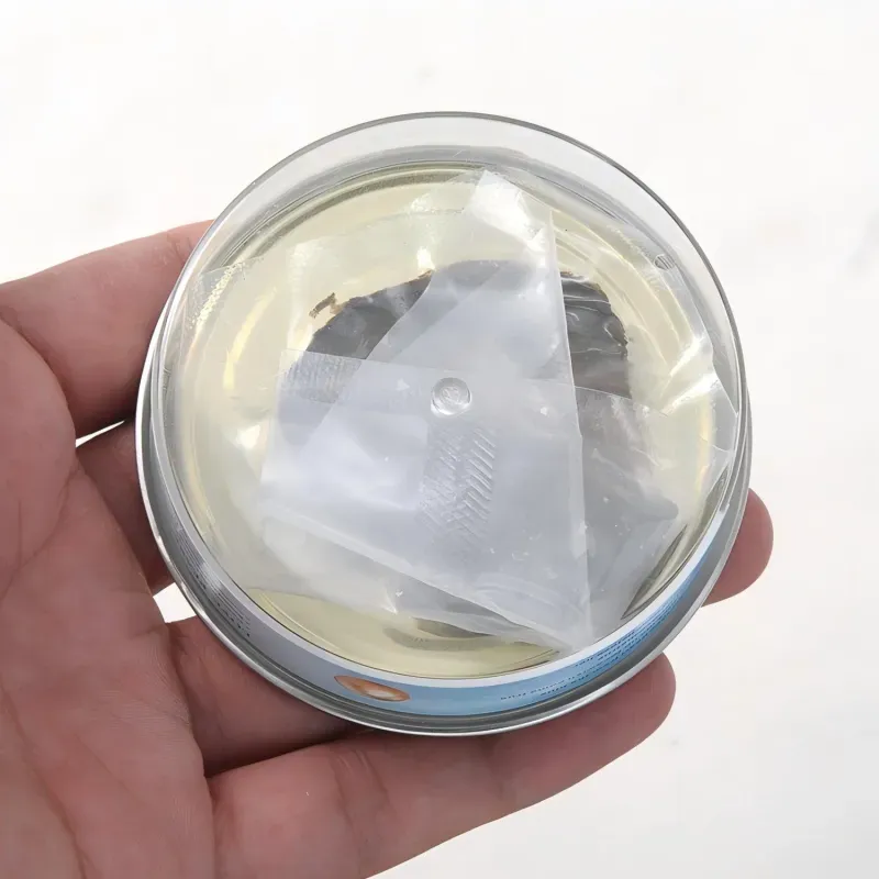 Necklace Oyster Self-opening Blind Box Necklace Pendant Surprise Gift