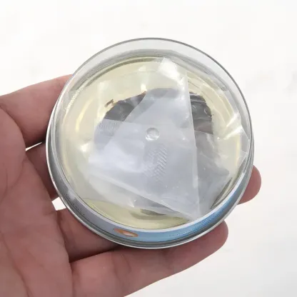 Necklace Oyster Self-opening Blind Box Necklace Pendant Surprise Gift