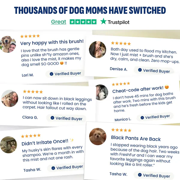 ReNu FreshFur Set – Bathe Your Dog Without Water