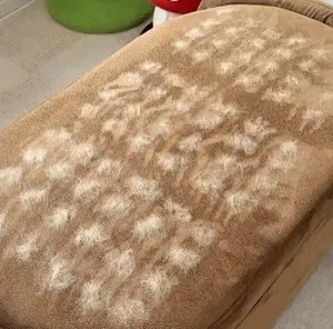 The Magic Brush™ - Buy 1 Get 1 Free