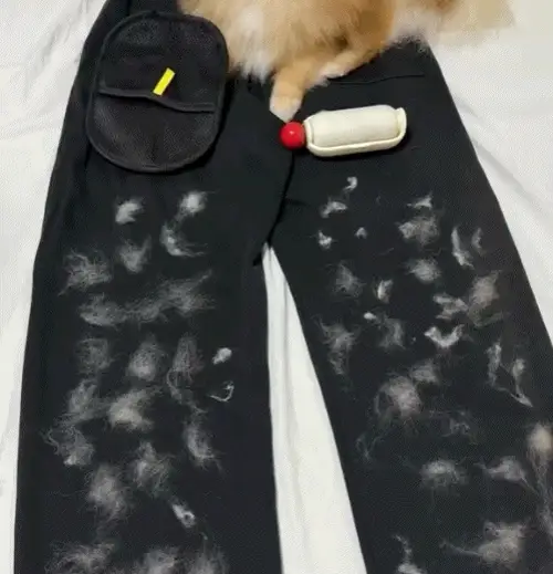 The Magic Brush™ - Buy 1 Get 1 Free