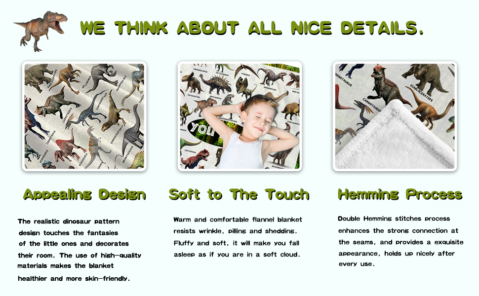 Personalized Dinosaur Blanket for gift