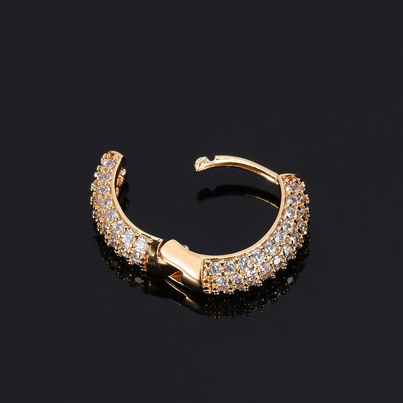 Hip Hop Hoop Style Round Earrings Micropavé Full Zirconia Studs