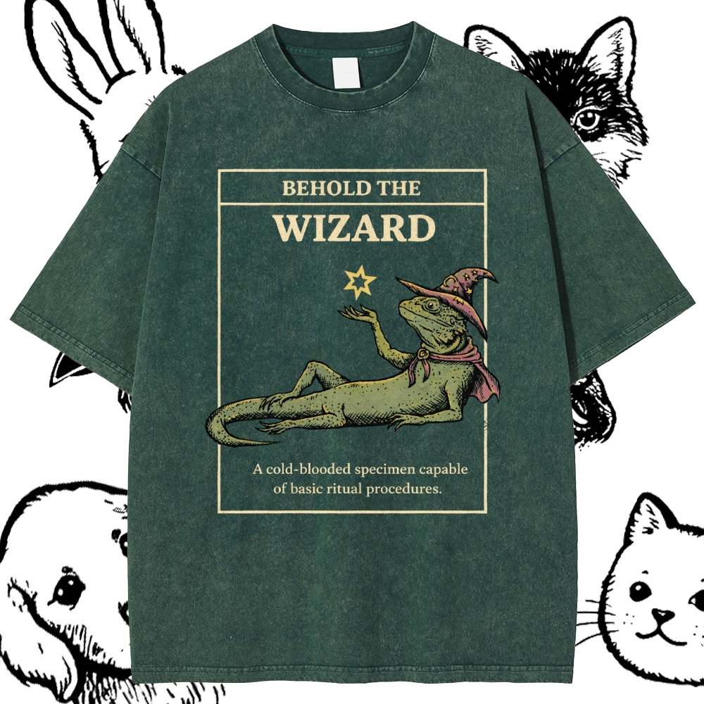 Behold The Wizard - Cotton Vintage Wash Classic Graphic Tee