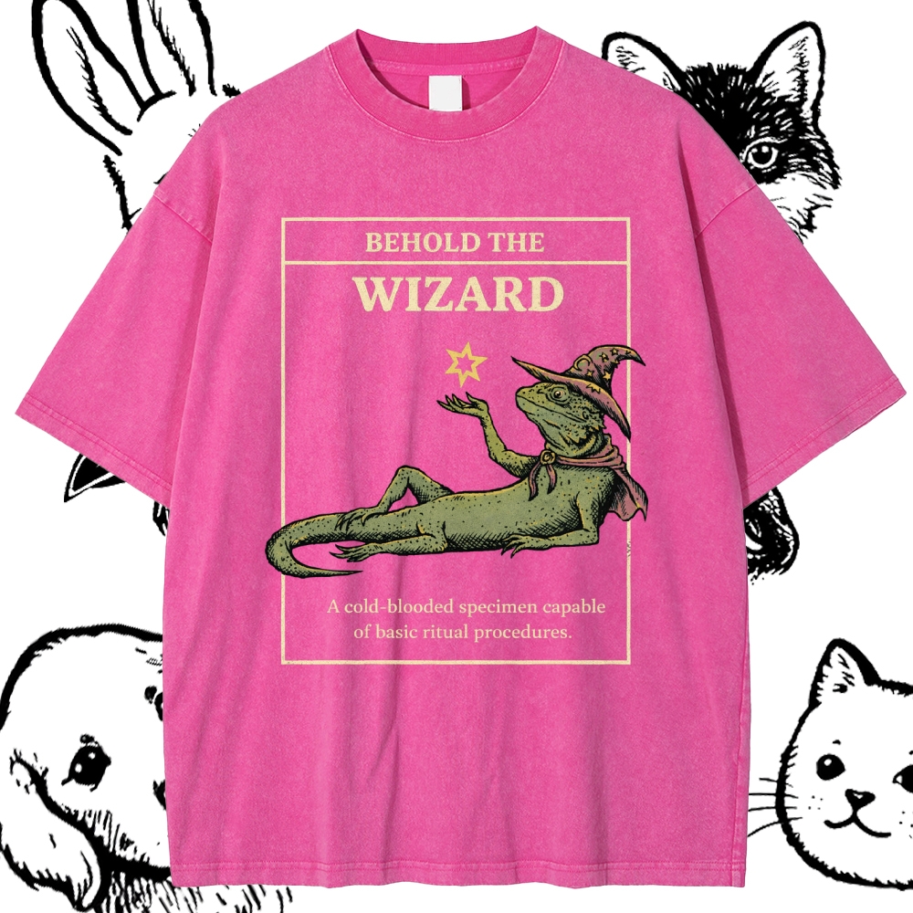 Behold The Wizard - Cotton Vintage Wash Classic Graphic Tee