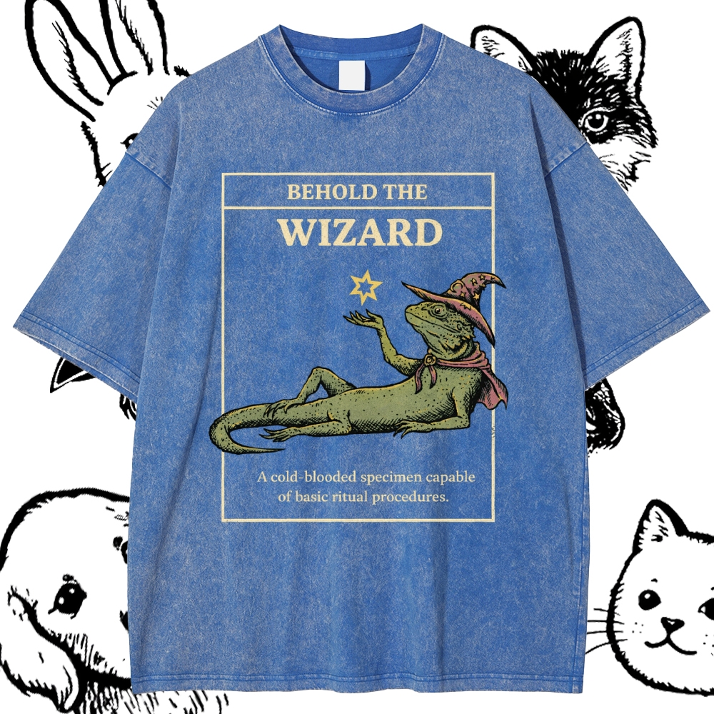 Behold The Wizard - Cotton Vintage Wash Classic Graphic Tee