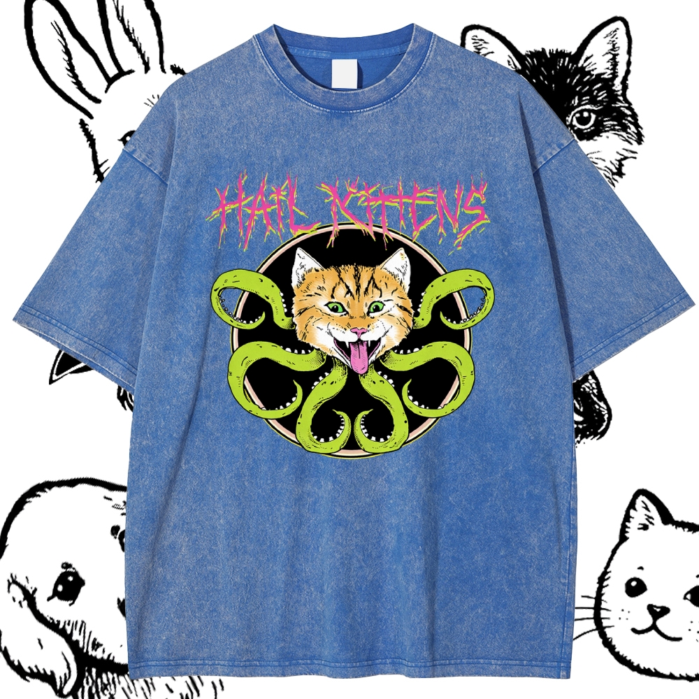 Hail Kittens - Cotton Vintage Wash Classic Graphic Tee