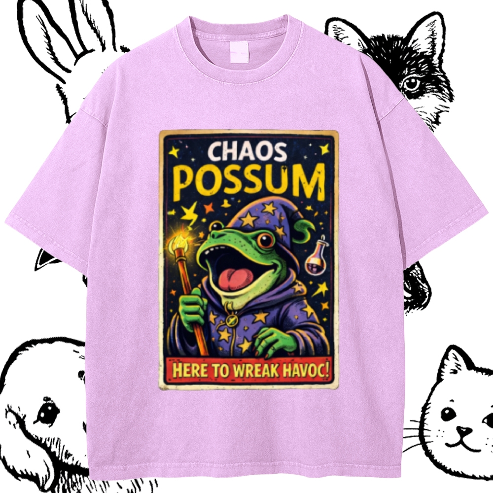 Havoc Wizard Frog Cotton Vintage Wash Classic Graphic Tee