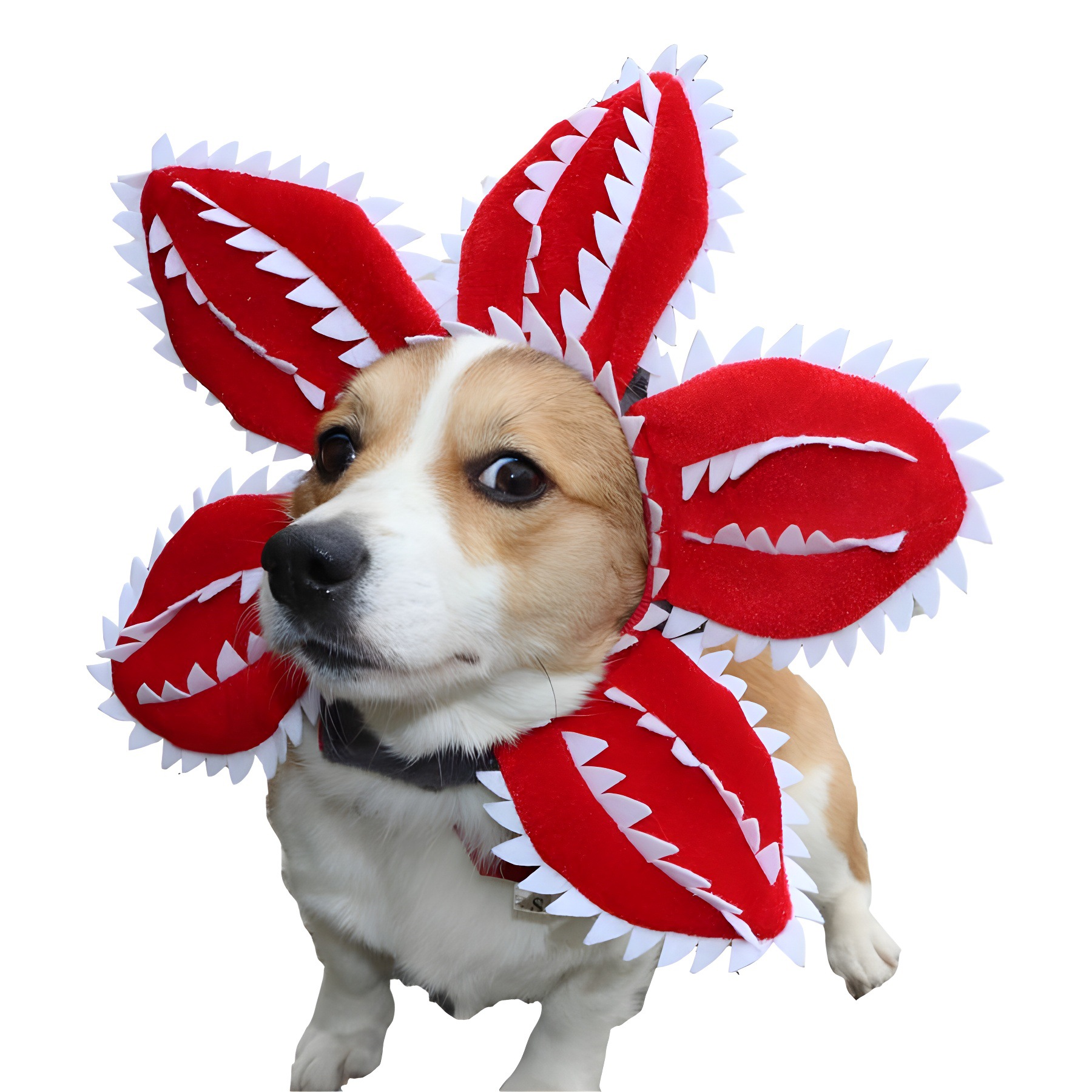 Stranger Things Funny dog and cat Demodog Flower headgear