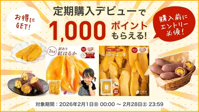 ＼定期購入で1000ポイントGET！／干し芋 茨城県産 紅はるか 干し芋 訳あり 1kg 和菓子 ギフト おやつ 送料無料 干しいも 国産 無添加 切り落とし スイーツ ダイエット お菓子 さつま芋 和スイーツ 訳アリ 食品 プレゼント お祝い 冬ギフト バレンタイン N1
