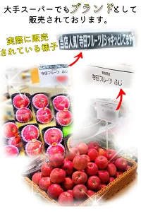 優良店舗 認定　割引ｸｰﾎﾟﾝ＋ﾎﾟｲﾝﾄ最大10倍 光センサーりんご 楽天優良 認定店 【増量】 グルメ大賞 青森県産 りんご 規格外品 サンふじ ふじ  サンつがる 規格外 訳あり 家庭用 ジュース リンゴジュース 1.5kg 2kg 3kg 5kg 10kg 2キロ 3キロ 5キロ 10キロ