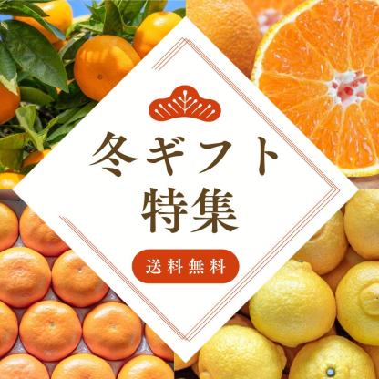 [Copy]大豊作祭 期間限定 特価＼楽天スーパーセール 4日 20:00 スタート／★愛媛が誇る 高級みかん 希少品種★創業85年 愛媛 みかん の老舗【産地直送】愛媛産 甘平 かんぺい 訳あり 3kg 「訳あり甘平3」 甘平みかん 西宇和みかん