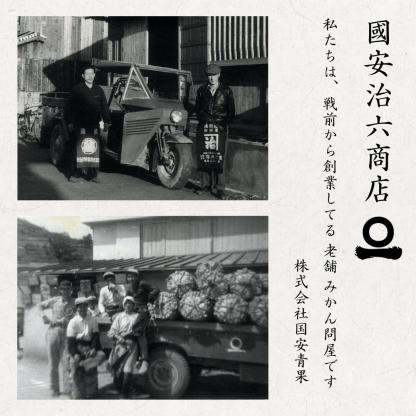 大豊作祭 期間限定 特価＼楽天スーパーセール 4日 20:00 スタート／★愛媛が誇る 高級みかん 希少品種★創業85年 愛媛 みかん の老舗【産地直送】愛媛産 甘平 かんぺい 訳あり 5kg 「訳あり甘平5」 甘平みかん 西宇和みかん