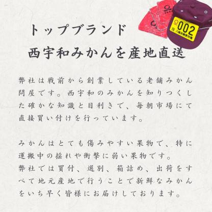 大豊作祭 期間限定 特価＼楽天スーパーセール 4日 20:00 スタート／★愛媛が誇る 高級みかん 希少品種★創業85年 愛媛 みかん の老舗【産地直送】愛媛産 甘平 かんぺい 訳あり 5kg 「訳あり甘平5」 甘平みかん 西宇和みかん