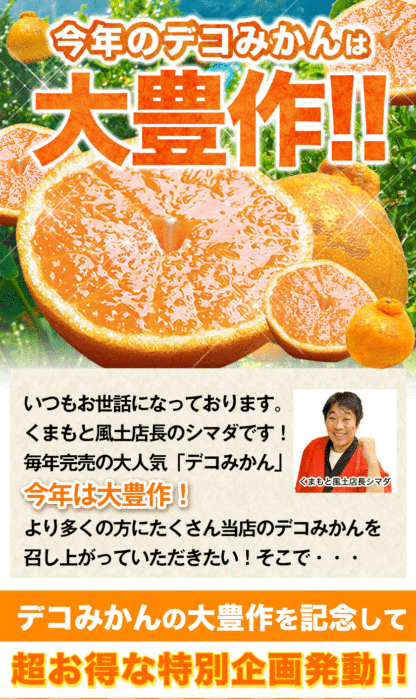 おまけ＋１００％増量 熊本県産 デコみかん 訳あり 1.5kg 送料無料 最短翌日出荷 2セット以上購入でおまけ増量 デコポン と同品種 不知火 みかん ミカン 熊本 柑橘 くまもと風土 買い回り 《1-5営業日以内に発送予定》