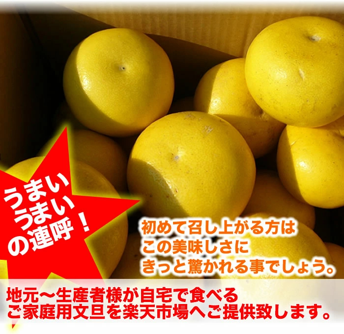 毎年大人気 土佐文旦 訳あり 4L～3Lサイズ 特大 超大玉がズッシリ 高知産 送料無料デカい旨い特大・土佐文旦10kg見た目訳あり中身は極高知の特大 土佐文旦のプリップリ果肉を堪能 家庭用 高知県 10キロ産直龍馬くん ※北海道・沖縄別途送料・離島配送不可