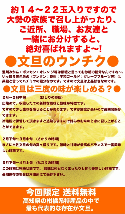 毎年大人気 土佐文旦 訳あり 4L～3Lサイズ 特大 超大玉がズッシリ 高知産 送料無料デカい旨い特大・土佐文旦10kg見た目訳あり中身は極高知の特大 土佐文旦のプリップリ果肉を堪能 家庭用 高知県 10キロ産直龍馬くん ※北海道・沖縄別途送料・離島配送不可