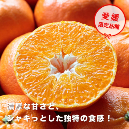 大豊作祭 期間限定 特価＼楽天スーパーセール 4日 20:00 スタート／★愛媛が誇る 高級みかん 希少品種★創業85年 愛媛 みかん の老舗【産地直送】愛媛産 甘平 かんぺい 訳あり 5kg 「訳あり甘平5」 甘平みかん 西宇和みかん