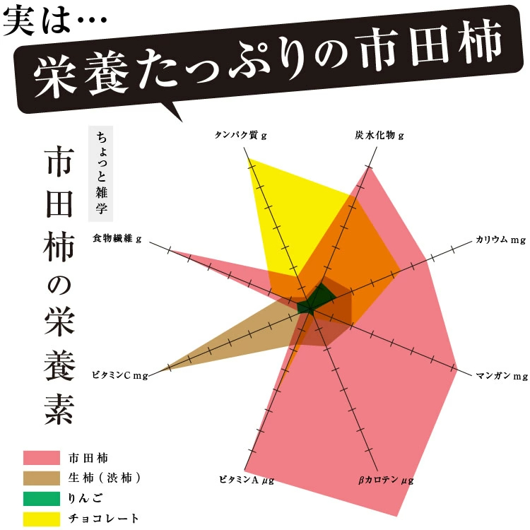 市田柿 干し柿 500g ご自宅用 長野県産 新物 | 柿 干柿 ほしがき 渋柿 訳あり 訳有り お徳用 お得用 お取り寄せ 果物 フルーツ 高糖度 ドライフルーツ 長野 お土産 冬 ギフト 産地直送 お菓子 和菓子 食品 おいしい 自然食品 GIマーク認証 2026