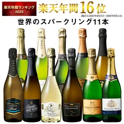 3大銘醸地入り 世界選りすぐりスパークリングワイン11本セット 第42弾 スパークリングワイン 辛口 ワインセット 【9000194】