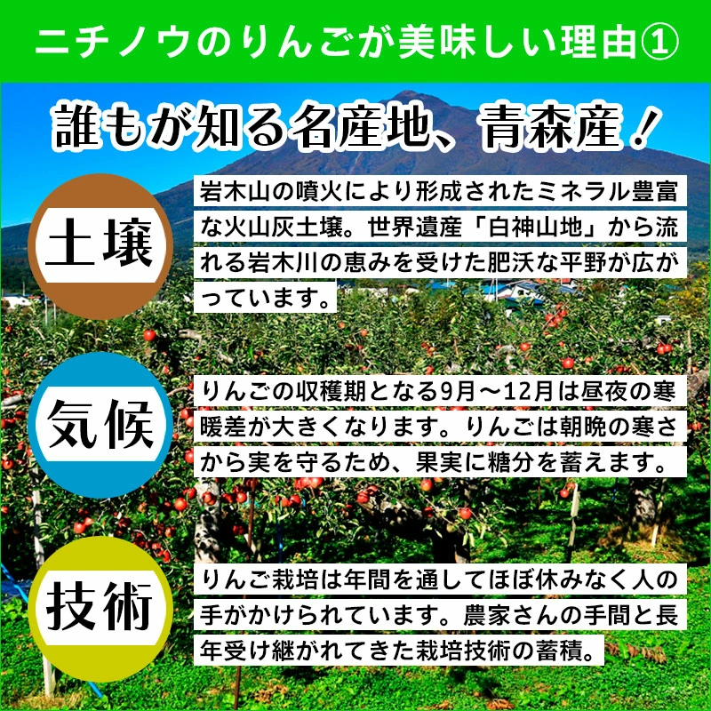 青森県産 加工用 りんご10,20kg 送料無料 激安 品種おまかせ 産地直送 訳ありりんご