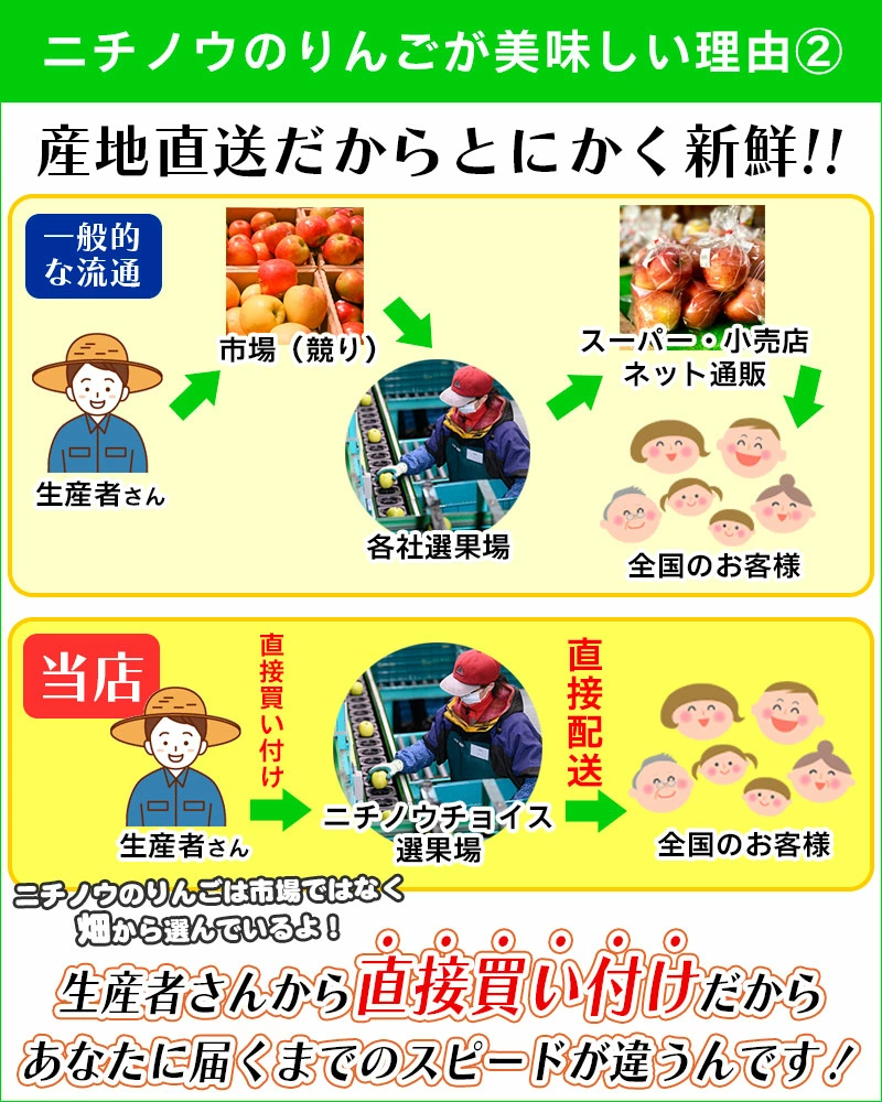 青森県産 加工用 りんご10,20kg 送料無料 激安 品種おまかせ 産地直送 訳ありりんご