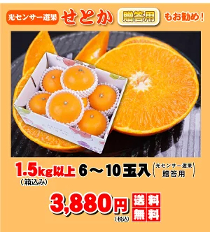 ★本日10％OFFクーポン★　極める　せとか　たっぷり3kg⇒10%OFFクーポンで3,384円★TVで話題！極める　せとか　みかん★クーポンで最安値に挑戦！極める！大人気のトロトロせとか・2箱以上注文で送料無料サービス付・福袋