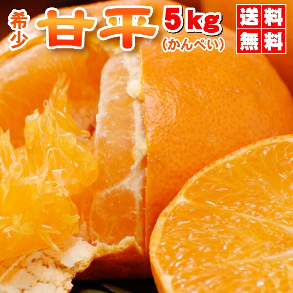 ★20%OFFクーポンで4,384円さらにポイント10倍★　かんぺい 5kg TVで話題！赤字覚悟の大箱5ｋｇ！希少品種・甘平（かんぺい）一度は食べてみたい今話題のレアなみかん！（訳あり・ご家庭用）
