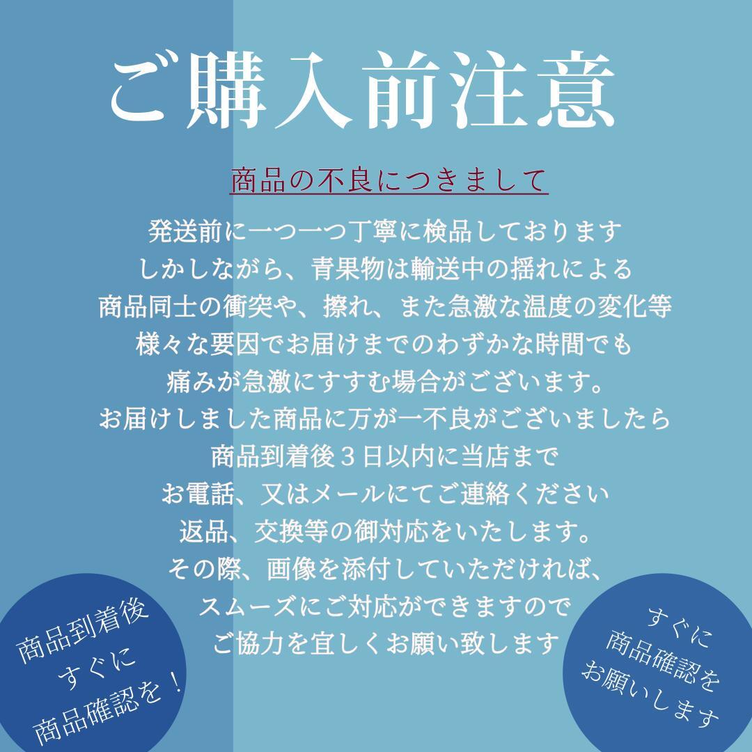 \\今季まもなく終了//【熊本県産　温州みかん　秀品　選べる内容量】　熊本県産　秀品　温州みかん　極早生みかん、早生みかん、中生みかん、晩生みかん　河内みかん　三角みかん　配達日時指定可　みかん　熊本みかん　青島みかん　尾崎