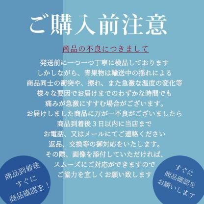 \\今季まもなく終了//【熊本県産　温州みかん　秀品　選べる内容量】　熊本県産　秀品　温州みかん　極早生みかん、早生みかん、中生みかん、晩生みかん　河内みかん　三角みかん　配達日時指定可　みかん　熊本みかん　青島みかん　尾崎