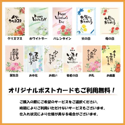 誕生日 プレゼント ギフト バレンタイン 2026 送料無料 黒毛和牛 ミニ ハート型 ステーキ サイコロステーキ 【選べる個数 8個 14個 19個】 赤身 サーロイン 牛肉 国産牛 平井牛 知多牛