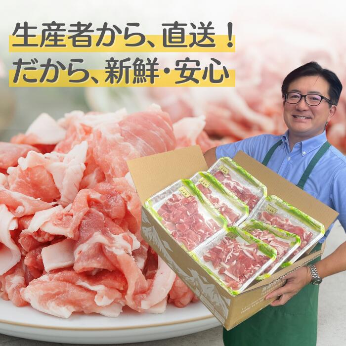 ＼半額／【限定2,000個】2月決算セール開催中！ ☆ 送料無料・冷蔵配送 【 白金豚 メガ盛り 3kg 万能 スライス 小間 500g 6パック 】 国産 切り落とし 豚こま 小分け 大容量 岩手県産 豚肉 プラチナポーク ブランド豚 お取り寄せ グルメ