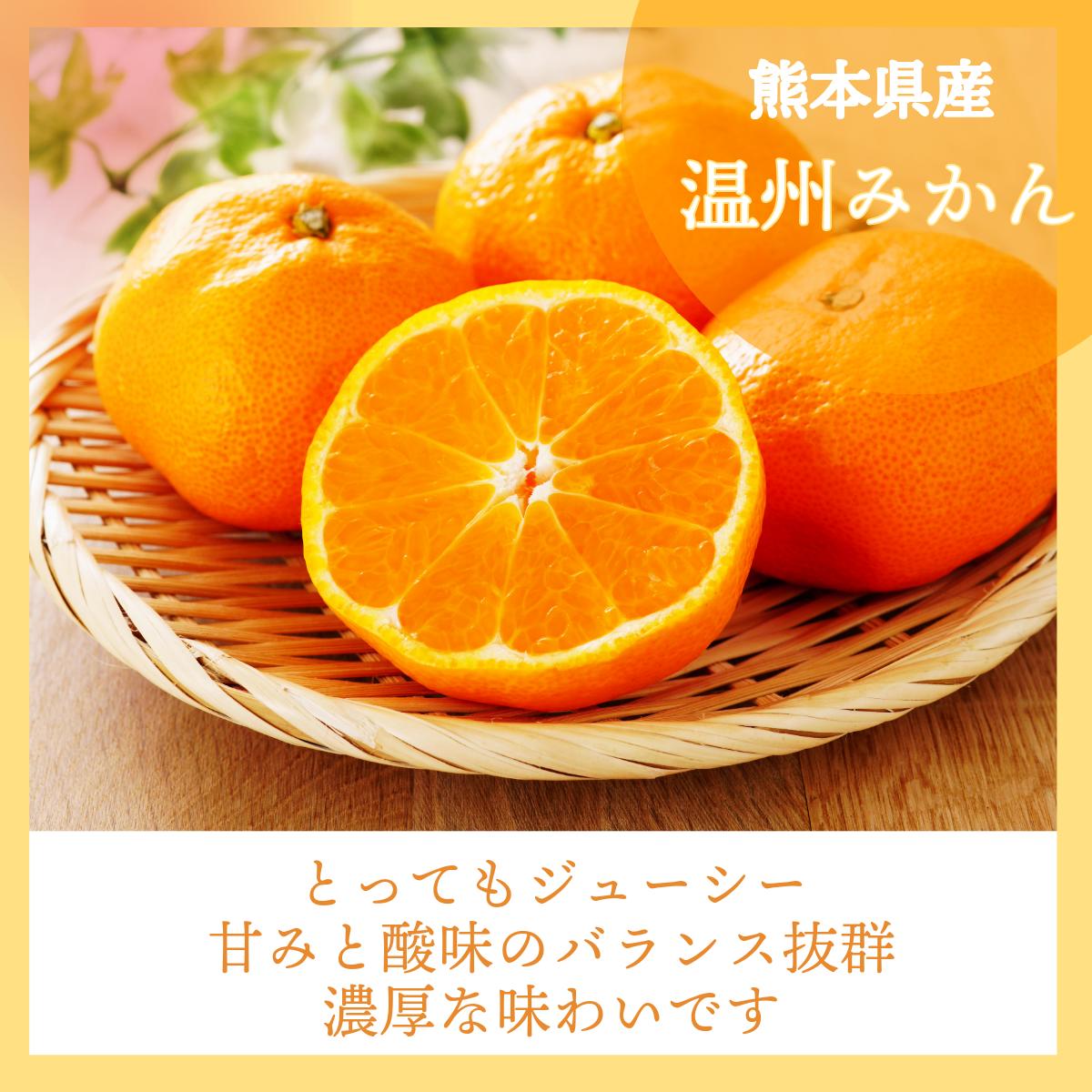 \\今季まもなく終了//【熊本県産　温州みかん　秀品　選べる内容量】　熊本県産　秀品　温州みかん　極早生みかん、早生みかん、中生みかん、晩生みかん　河内みかん　三角みかん　配達日時指定可　みかん　熊本みかん　青島みかん　尾崎