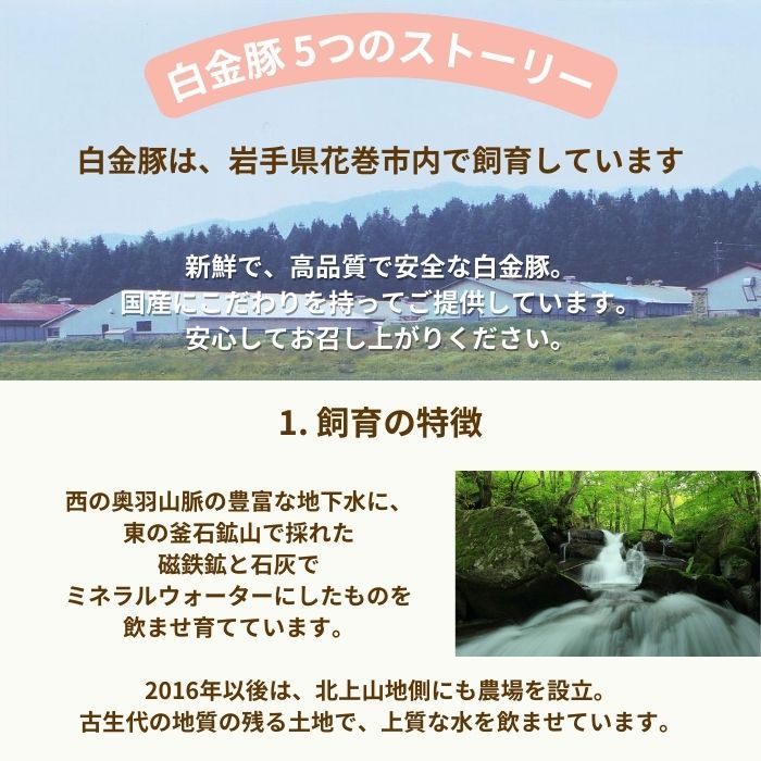 ＼半額／【限定2,000個】2月決算セール開催中！ ☆ 送料無料・冷蔵配送 【 白金豚 メガ盛り 3kg 万能 スライス 小間 500g 6パック 】 国産 切り落とし 豚こま 小分け 大容量 岩手県産 豚肉 プラチナポーク ブランド豚 お取り寄せ グルメ