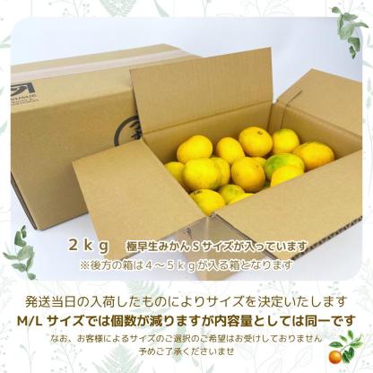 \\今季まもなく終了//【熊本県産　温州みかん　秀品　選べる内容量】　熊本県産　秀品　温州みかん　極早生みかん、早生みかん、中生みかん、晩生みかん　河内みかん　三角みかん　配達日時指定可　みかん　熊本みかん　青島みかん　尾崎