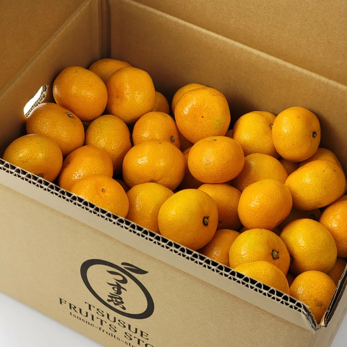 \\今季まもなく終了//【熊本県産　温州みかん　秀品　選べる内容量】　熊本県産　秀品　温州みかん　極早生みかん、早生みかん、中生みかん、晩生みかん　河内みかん　三角みかん　配達日時指定可　みかん　熊本みかん　青島みかん　尾崎