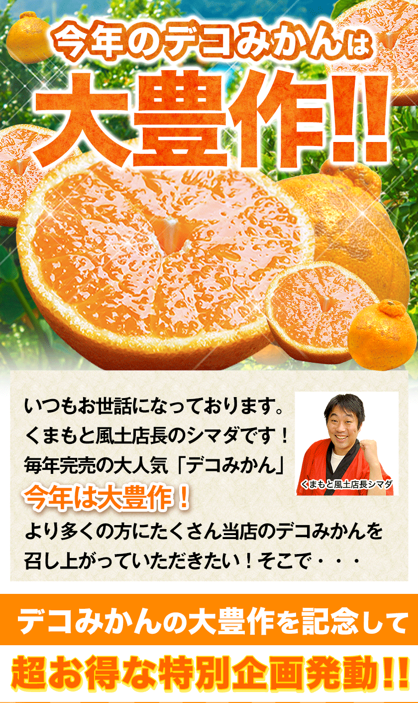 おまけ＋１００％増量 熊本県産 デコみかん 訳あり 1.5kg 送料無料 最短翌日出荷 2セット以上購入でおまけ増量 デコポン と同品種 不知火 みかん ミカン 熊本 柑橘 くまもと風土 買い回り 《1-5営業日以内に発送予定》
