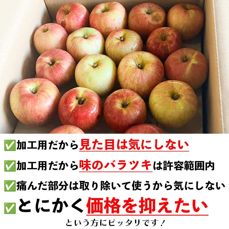 青森県産 加工用 りんご10,20kg 送料無料 激安 品種おまかせ 産地直送 訳ありりんご