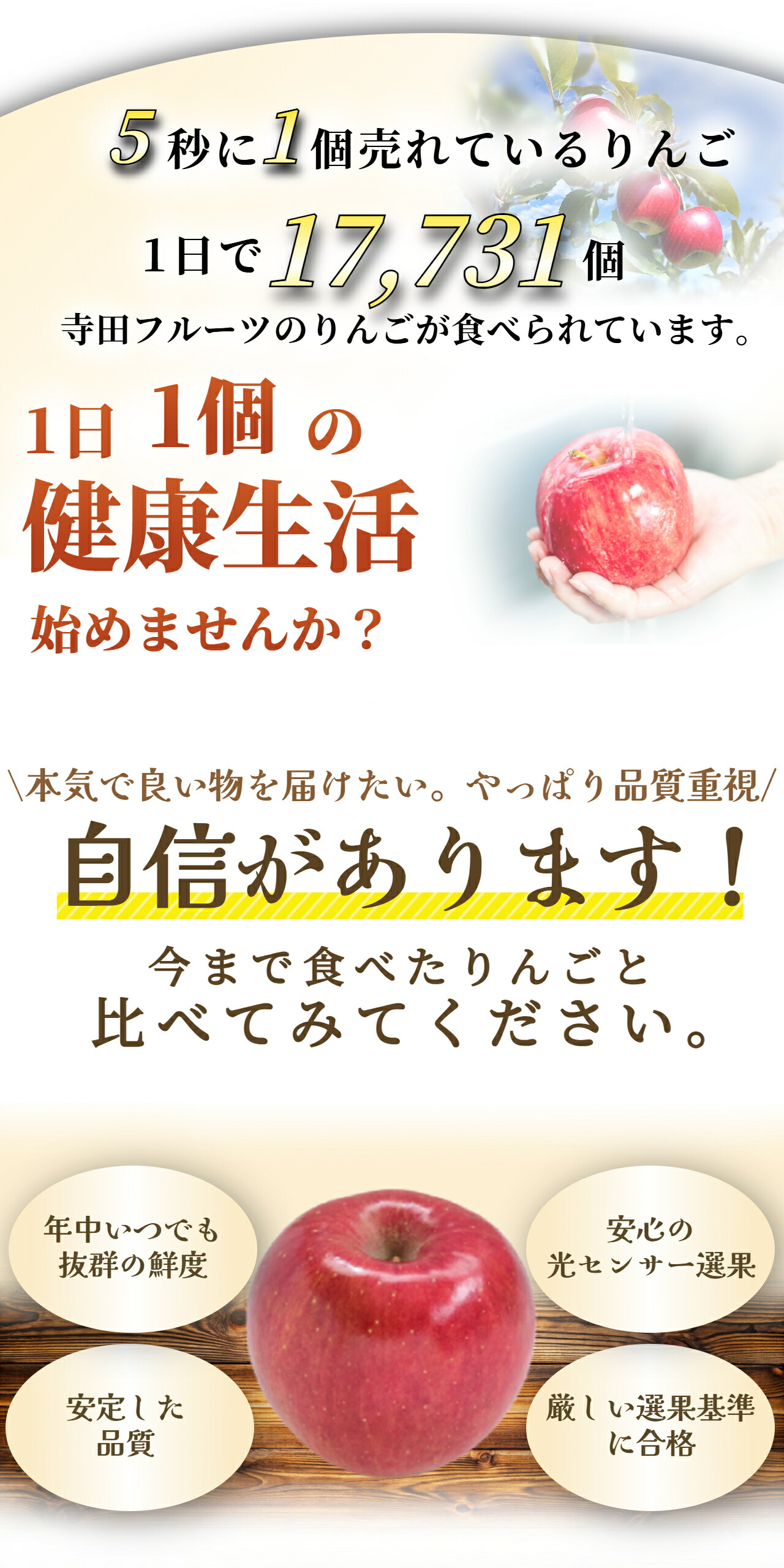 優良店舗 認定　割引ｸｰﾎﾟﾝ＋ﾎﾟｲﾝﾄ最大10倍 光センサーりんご 青森 りんご 10kg 加工用 送料無料 ジュース ジャム サンフジ ふじ 10キロ 王林 名月 ぐんま名月 紅玉 津軽 つがる 黄王 ジョナ トキ 訳あり 青森県産 5kg 5キロ 家庭用