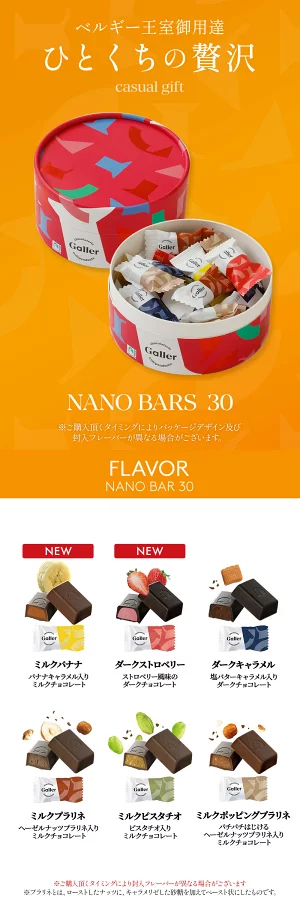 まだ間に合う バレンタイン チョコレート ガレー ナノバー30個入(送料込) 詰め合わせ 2026 バレンタイン ギフト 友 チョコ ばらまき お菓子 個包装 小分け 会社 職場 退職 祝い 挨拶 お返し 手土産 有名 高級 おしゃれ 可愛い 人気 誕生日 プレゼント
