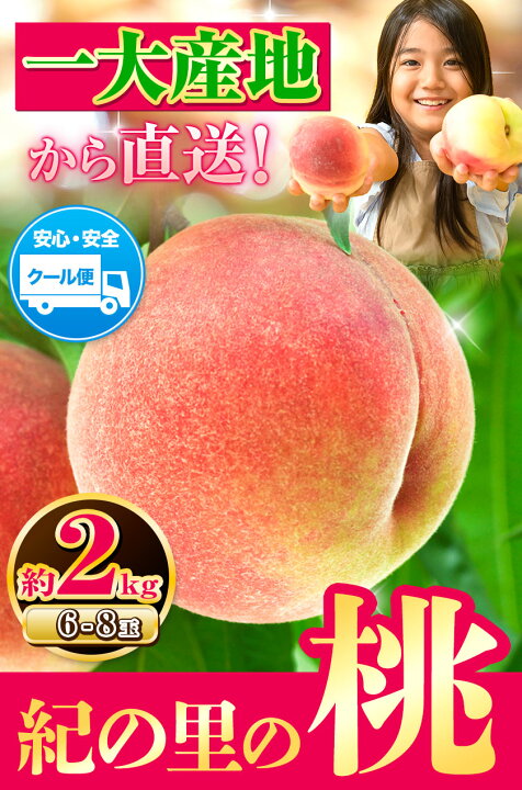 【ふるさと納税】高レビュー 和歌山県産 紀の里の桃 約2kg(6～8玉) 先行量販《2025年6月中旬-8月中旬頃出荷》桃 もも モモ 果物 フルーツ お取り寄せ 和歌山 白鳳 日川白鳳 八旗白鳳 清水白桃 川中島白桃 送料無料 9800円 和歌山県産
