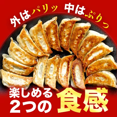 極上えび餃子60個 1.1kg ぷりぷりのぶつ切りの海老を使用！ 餃子計画 餃子 ぎょうざ ギョウザ 生餃子 えび餃子 エビ餃子 海老餃子 えび エビ 海老 冷凍餃子 冷凍生餃子 冷凍食品 業務用 大容量