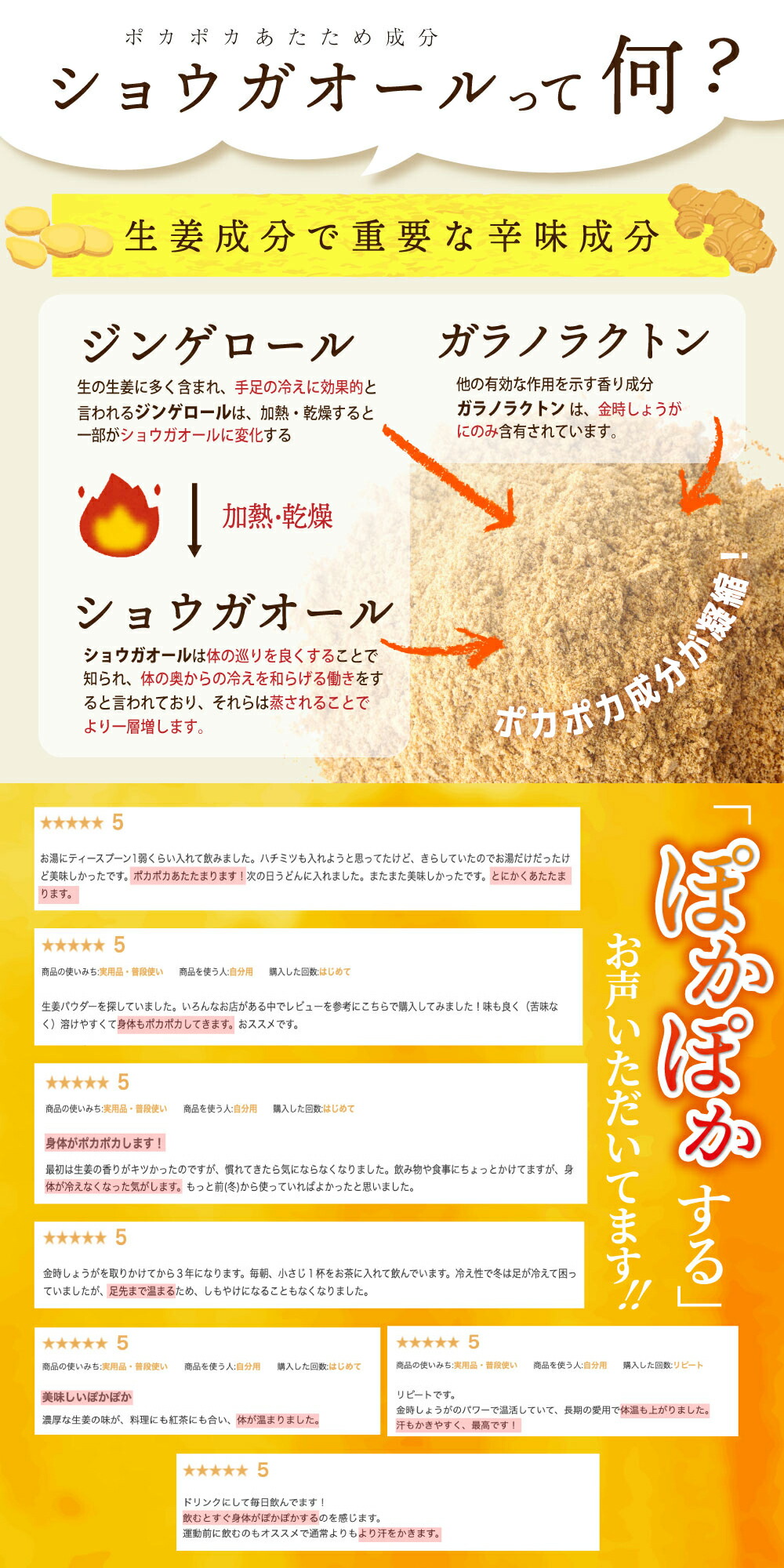 ショウガオール、ぽかぽか