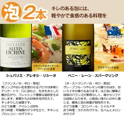 3大銘醸地入り!世界の選りすぐり赤・白・スパークリングワイン飲み比べ12本セット 第31弾 【9000197】 | 金賞 飲み比べ ワイン ワインセット ミックス wine wainn ボルドー フランス イタリア スペイン お買い得 ギフト