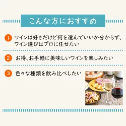 3大銘醸地入り!世界の選りすぐり赤・白・スパークリングワイン飲み比べ12本セット 第31弾 【9000197】 | 金賞 飲み比べ ワイン ワインセット ミックス wine wainn ボルドー フランス イタリア スペイン お買い得 ギフト