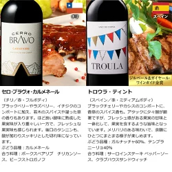 1本たったの598円(税込) 3大銘醸地入り 世界選りすぐり赤ワイン11本セット 第277弾【7784808】 | 金賞 飲み比べ ワイン ワインセット wine wainn ボルドー フランス イタリア スペイン お買い得 ギフト