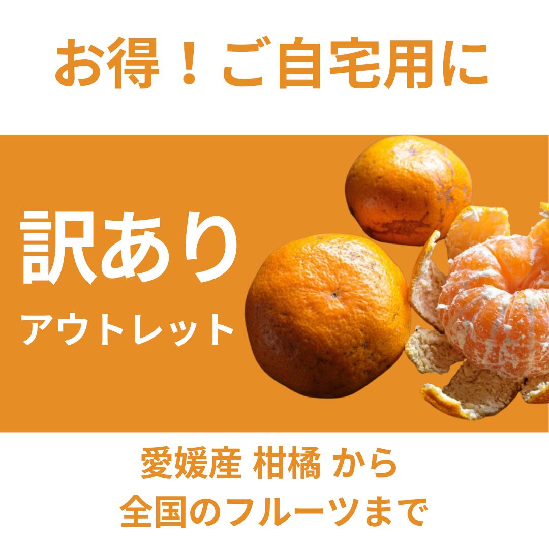 大豊作祭 期間限定 特価＼楽天スーパーセール 4日 20:00 スタート／★愛媛が誇る 高級みかん 希少品種★創業85年 愛媛 みかん の老舗【産地直送】愛媛産 甘平 かんぺい 訳あり 5kg 「訳あり甘平5」 甘平みかん 西宇和みかん